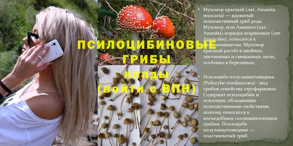 бутик Каменск-Шахтинский