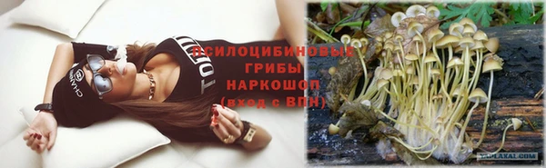скорость Каменка