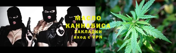 скорость Каменка