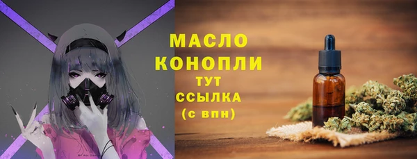 скорость Каменка