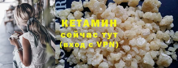 скорость Каменка
