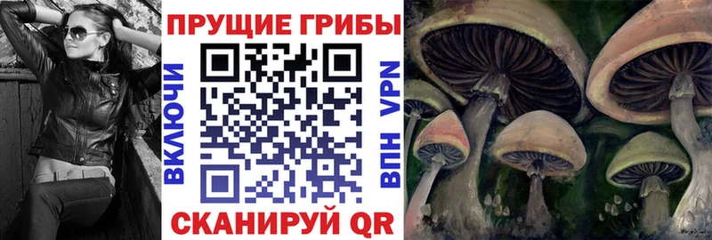Галлюциногенные грибы Psilocybine cubensis  Купить закладки  Аркадак 