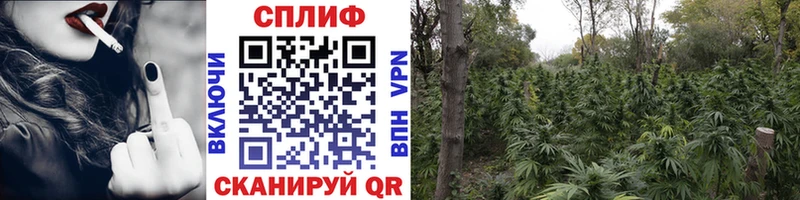 Купить  Аркадак  Бошки Шишки семена 